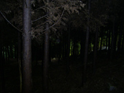 Âѓ