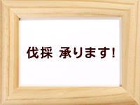 ́@܂I